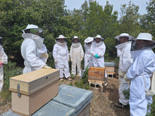 Carregar la imatge al visor de la galeria, APADRINAMIENTO - Apadrinamiento de enjambres de abejas
