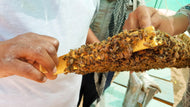 RESERVA - Visita a les abelles 16 DE SETEMBRE 2023 11:00h o 16:00h